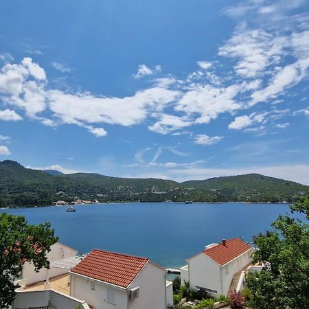 Villa Lukic Apartments スラノ エクステリア 写真