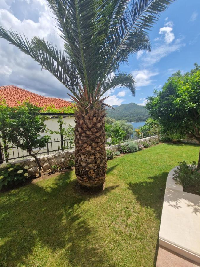 Villa Lukic Apartments スラノ エクステリア 写真