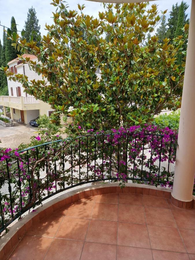 Villa Lukic Apartments スラノ エクステリア 写真
