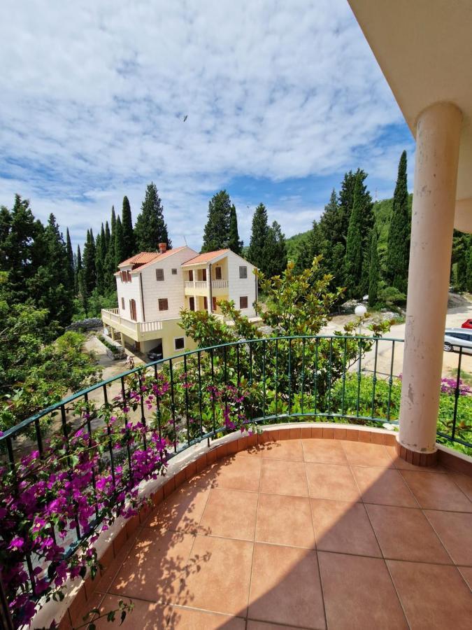 Villa Lukic Apartments スラノ エクステリア 写真